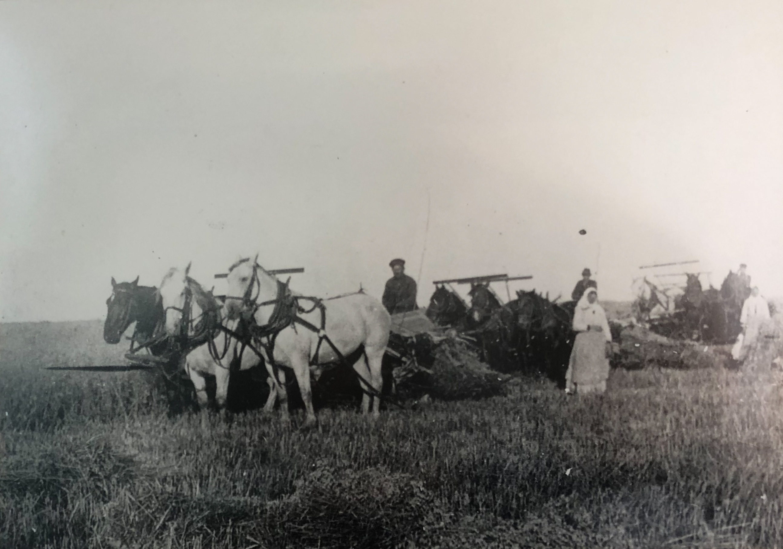 Khutor Farm