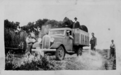 1934 or 6 Zeeben's truck going to trade horse. Exchanged for horse on left (see photo of John N Chernoff with White Stallion. Community horse. Grandfather (John N Chernoff) hired truck. Community had 50-100 horses. Uncle Nick N Chernoff (cowboy) goes out to Alberta to pick out horses to buy. Had cows. Took care of oats and barley too. Prepared much hay for winter. Zeeben's truck - Trading Horse