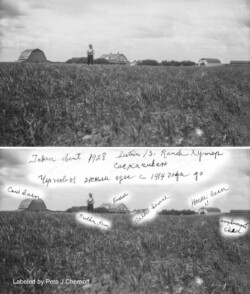 Sam J Chernoff about 1928 Section 13 Khutor Ranch. L. to R. Cow Barn, Sam, House, Bath House, Horse Barn, Implement shed. It says in Russian they lived there since 1914. (saskatchewan) Sam J Chernoff at Khutor Farm