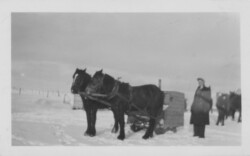 Feb 16; 1940 in Saskatchewan. Peter J Chernoff went visiting wife Mable's cousin north of Veregin; had Flo with them. Sleigh "Caboose" had stove inside. Peter J Chernoff