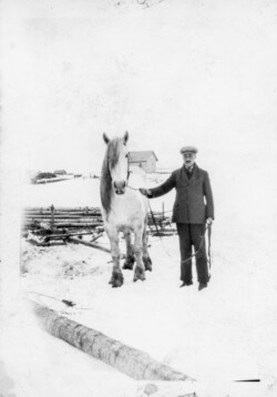 John N Chernoff with one of the Khutor horses - 1936 Saskatchewan John N Chernoff