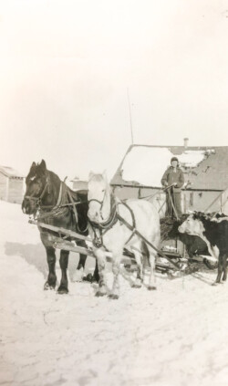 Boy with Horse and Buggy at Khutor Boy with Horse and Buggy at Khutor